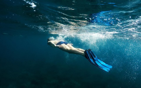 solutions factoring et assurance-crédit